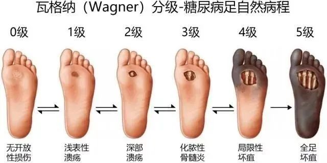 9539eccb6714a1ca8df3d7e1d0b05196.png